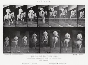 Eadweard Muybridge: The Leap (b/w photo) 作者 爱德沃德·迈布里奇