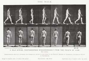 穆布里奇（Eadweard Muybridge）。漫步（黑白照片 作者 爱德沃德·迈布里奇