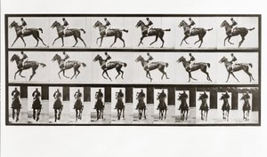 骑马，骑士，板621来自Animal Locomotion，1887 作者 爱德沃德·迈布里奇