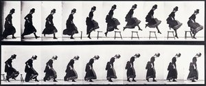 运动研究，约1872-1885年 作者 爱德沃德·迈布里奇
