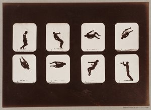 Plate 106. Athletes, Twisting Summersault 作者 Eadweard Muybridge