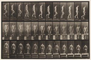 图125.下降楼梯 作者 Eadweard Muybridge