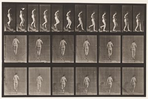板130.下楼梯，双手紧握，1872-1885 作者 爱德沃德·迈布里奇
