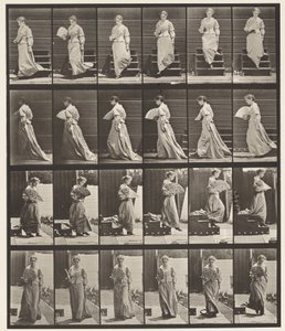 Plate 141. Descending Stairs and Flirting Fan 作者 爱德沃德·迈布里奇