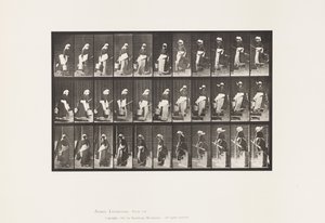 Plate 148. Descending Stairs, Turning Carrying Bucket of Water 作者 爱德沃德·迈布里奇