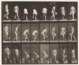 板块150.下楼梯;弯腰，起重投手，转弯，1872-1885 作者 爱德沃德·迈布里奇