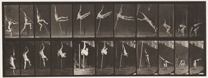 板块164.跳跃; Pole Vaulting，1872-1885 作者 爱德沃德·迈布里奇