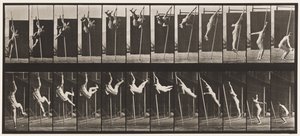 165.跳板； 撑杆跳 作者 Eadweard Muybridge