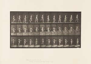 板块174. 1885年用跳绳跑步和跳跃 作者 爱德沃德·迈布里奇