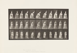 板块198.Courtseying，1885 作者 爱德沃德·迈布里奇