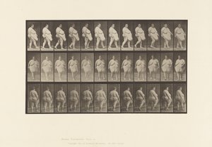 Plate 19. Walking, Commencing to Turn Around 作者 爱德沃德·迈布里奇