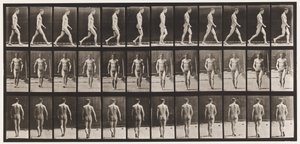 板1.行走 作者 Eadweard Muybridge