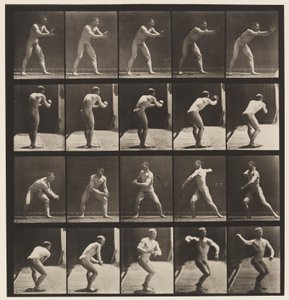 板282.Base-ball;捕捉和投掷，1885年 作者 爱德沃德·迈布里奇
