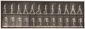 板28.行走，携带50磅。右手握哑铃，1872-1885 作者 爱德沃德·迈布里奇