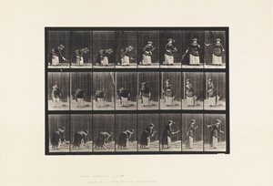 Plate 295. Lawn Tennis; Serving 作者 爱德沃德·迈布里奇