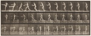 板301.Foot-ball; Punt，1885 作者 爱德沃德·迈布里奇