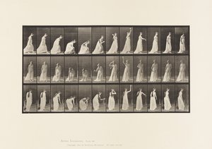 板块306.拿起球并投掷它，1885年 作者 爱德沃德·迈布里奇