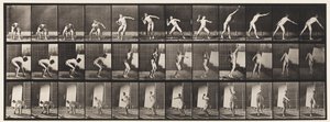 板块310.Putting the Shot，1885 作者 爱德沃德·迈布里奇