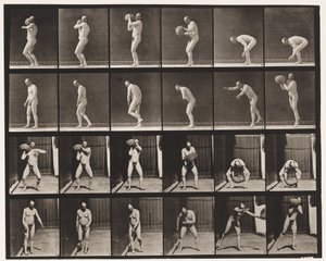 板312：沉重75磅的岩石 作者 Eadweard Muybridge
