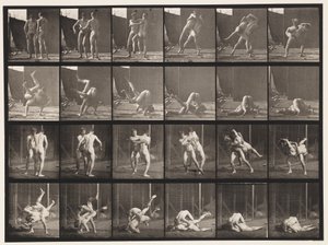 板块348.Wrestling，Graeco-Roman，1885 作者 爱德沃德·迈布里奇