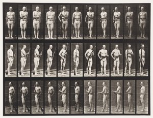Plate 351. Fix and Unfix Bayonets，1872-1885 作者 爱德沃德·迈布里奇