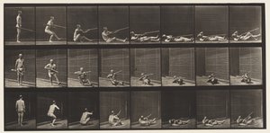 板块358.躺在背上和射击，1872-1885 作者 爱德沃德·迈布里奇