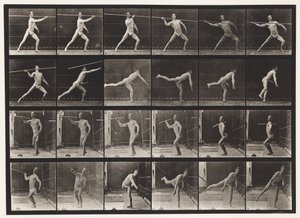 板块361.投掷矛，1872-1885 作者 爱德沃德·迈布里奇
