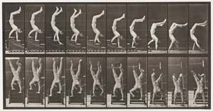 板368.杂技演员，手上的楼梯下降 作者 Eadweard Muybridge