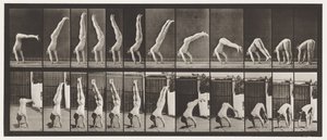 板371。Acrobat，垂直向上按 作者 Eadweard Muybridge