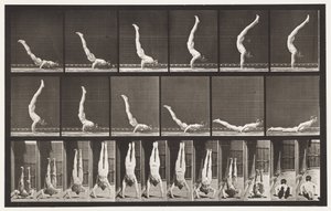 板372。Acrobat，水平向上按 作者 Eadweard Muybridge