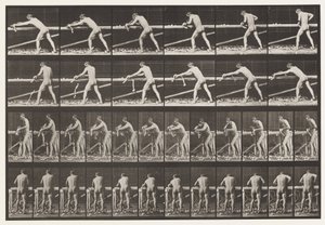 板块379. Carpenter，刨板，1872-1885 作者 爱德沃德·迈布里奇