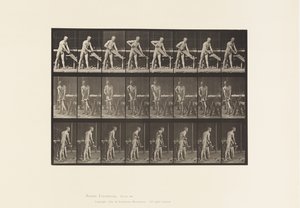 板380. Carpenter，Sawing，1872-1885 作者 爱德沃德·迈布里奇