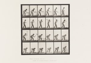 Plate 386. Miner Using a Pick 作者 爱德沃德·迈布里奇