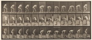 板块388.农民，使用锹，1872-1885 作者 Eadweard Muybridge