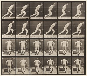 板393.推动花园压路机，1872-1885 作者 Eadweard Muybridge