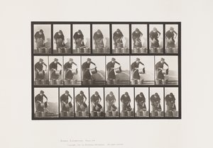 Plate 403. Emptying Bucket of Water 作者 爱德沃德·迈布里奇