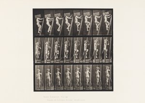 盘子405.携带砖的手在梯子，1872-1885 作者 爱德沃德·迈布里奇