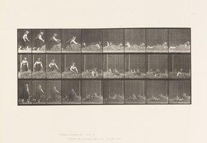 Plate 455. Throwing Self on Heap of Hay 作者 爱德沃德·迈布里奇