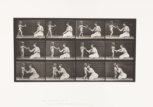 盘子465.两个型号，儿童70N，花束到12，1885年 作者 爱德沃德·迈布里奇