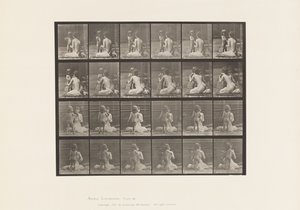板466.两个型号，儿童70N，带花束到1885年12 作者 爱德沃德·迈布里奇