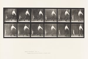 Plate 470. Child 20N, Running after a Man 作者 爱德沃德·迈布里奇