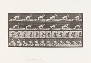 板块471.儿童，手上和膝盖爬行，1885年 作者 爱德沃德·迈布里奇