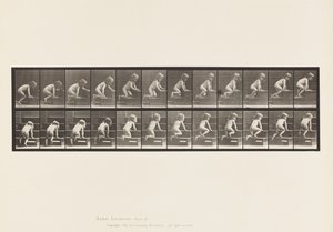 盘子472.Child，爬行楼上，1885年（纸上珂罗版） 作者 爱德沃德·迈布里奇