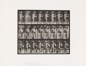 板块478.Child，洒在一些花上，1885年 作者 爱德沃德·迈布里奇