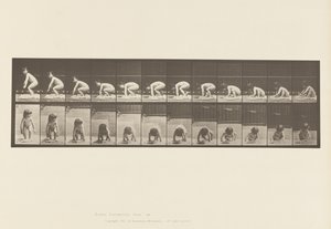 Plate 479. Child, Getting Up from the Ground 作者 爱德沃德·迈布里奇