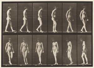 图47.行走和转身 作者 爱德沃德·迈布里奇
