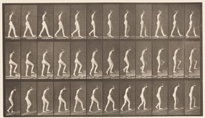 板482. A，步行; B，登高楼梯; C，Ascending Incline，1872-1885 作者 爱德沃德·迈布里奇