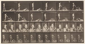 板485.两种型号; A，10 Standing and Filling a Goblet;，1872-1885 作者 爱德沃德·迈布里奇