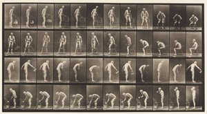 盘子490。 B，坐下； C，洒水 作者 Eadweard Muybridge
