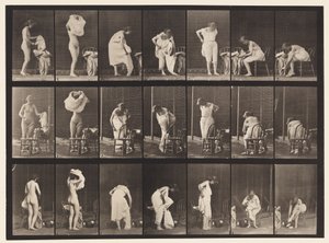 板493.厕所的其他阶段，1872-1885 作者 爱德沃德·迈布里奇
